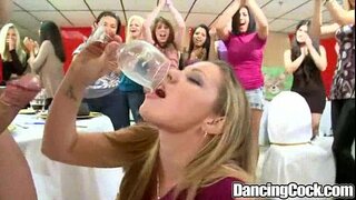 Dancingcock Büyük Horoz Kutlama