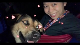 IL GOVERNO È il TUO NEMICO CHE SI k. TUTTI NOI, SE NON PRENDERE AZIONE ORA! ROVESCIARE il VOSTRO GOVTS &amp;amp; LUCE di TUTTE 5G TORRI ORA PRIMA di k.S TUTTI NOI!!